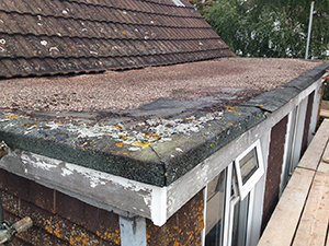 Exeter Single Ply Structures